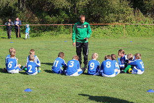 米兰官方网站-印度队再创纪录,击球火力惊人,印度进球