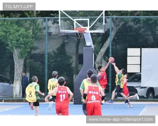 篮球精神融入中国文化的血脉,分享篮球精神运动精神